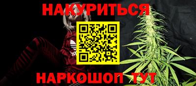 стаф Моздок