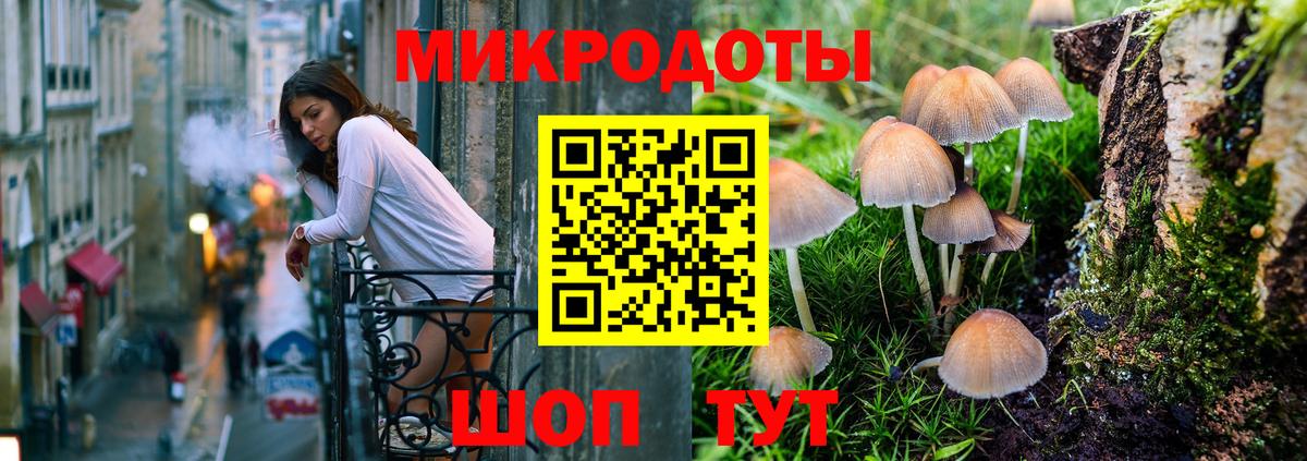 Тара  Галлюциногенные грибы GOLDEN TEACHER  Вход с VPN 